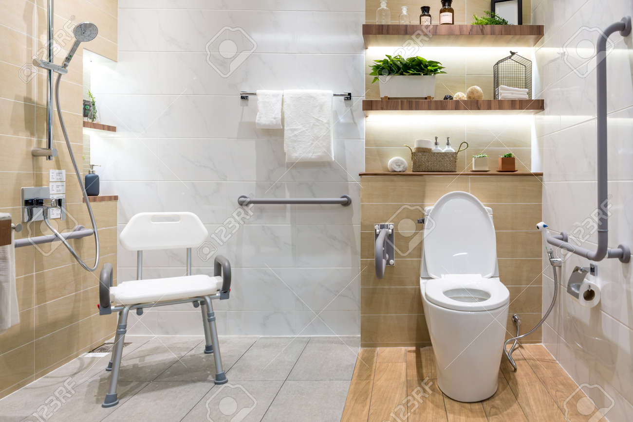Best Disabled Bathroom Interior
