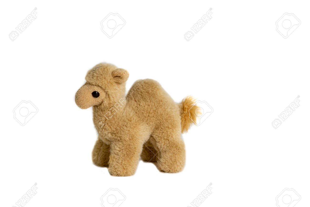 camel soft toy