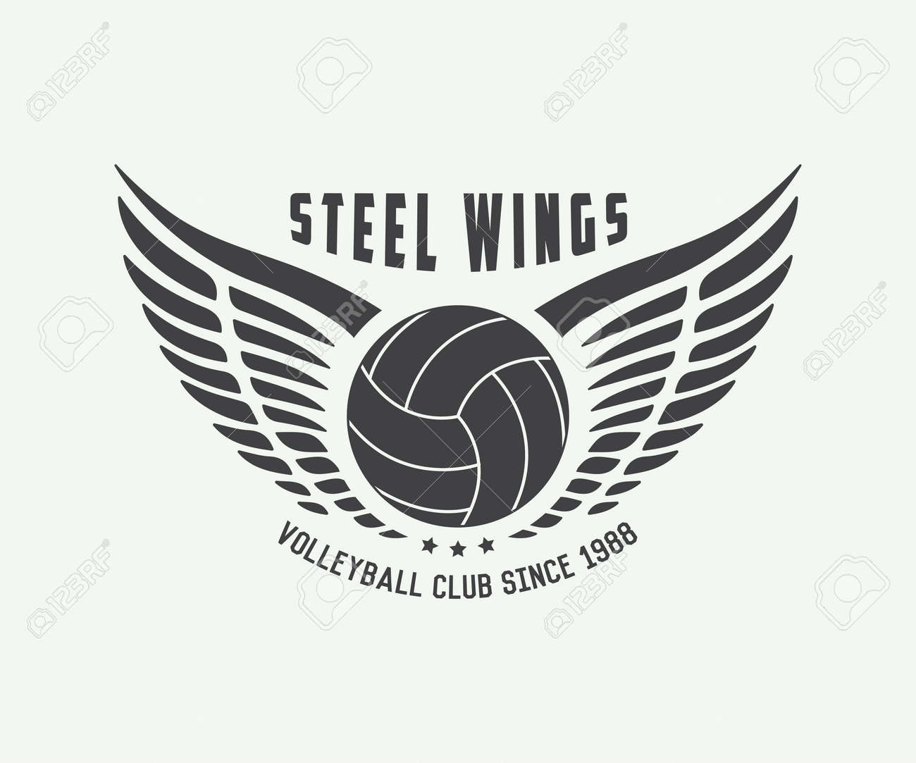 tiquette de volley ball vintage emblème ou logo vector