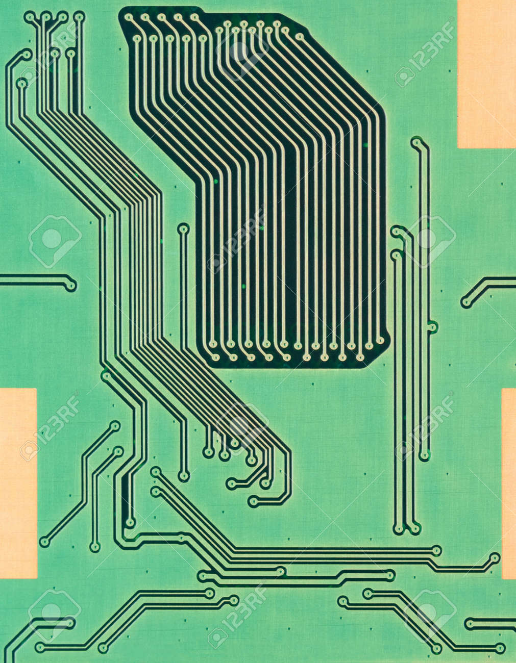 etiam-dictum-ipsum-a-felis