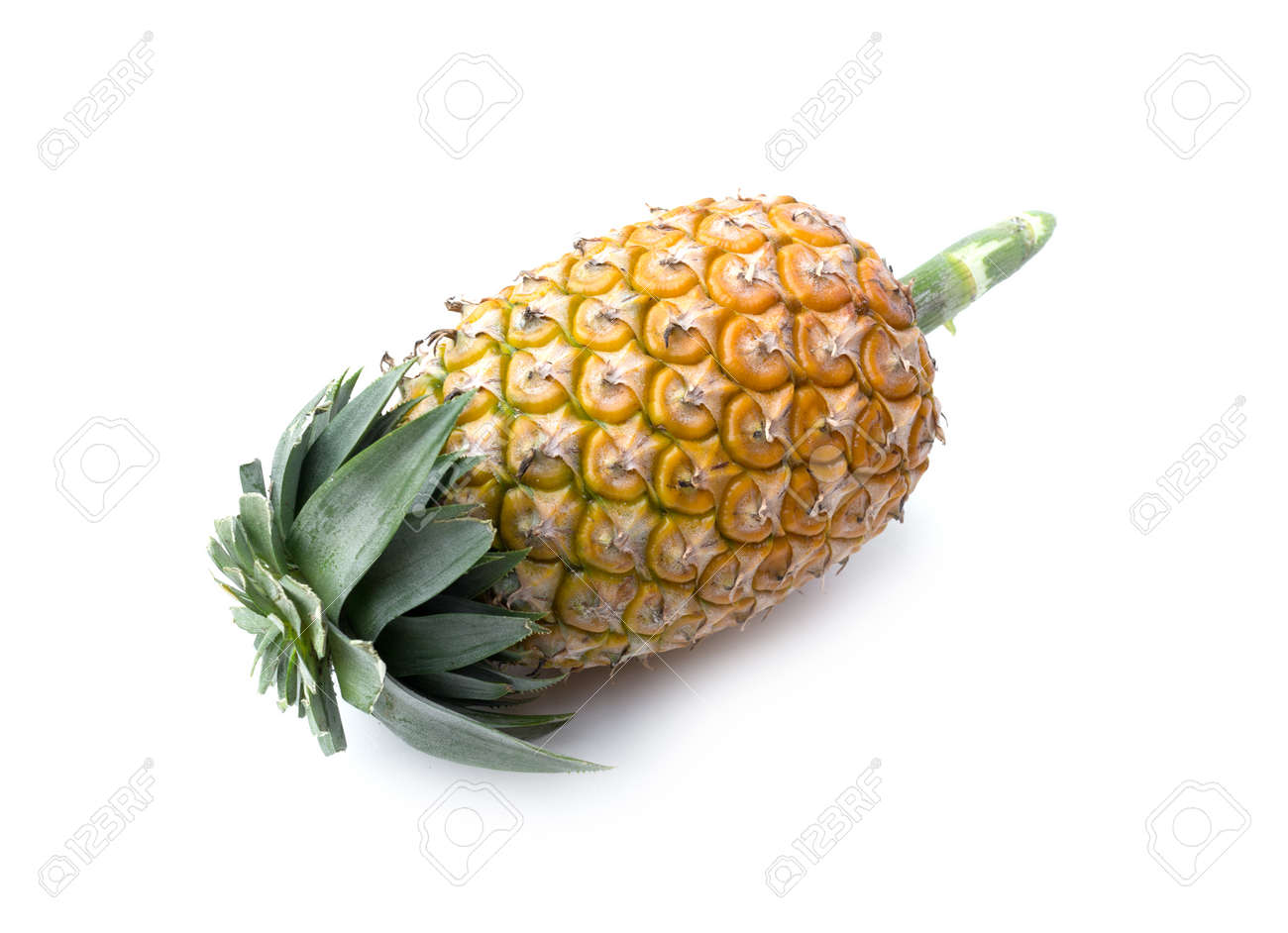 白い背景上に熟したパイナップル 健康的なパイナップル フルーツ食品の分離 の写真素材 画像素材 Image 6112