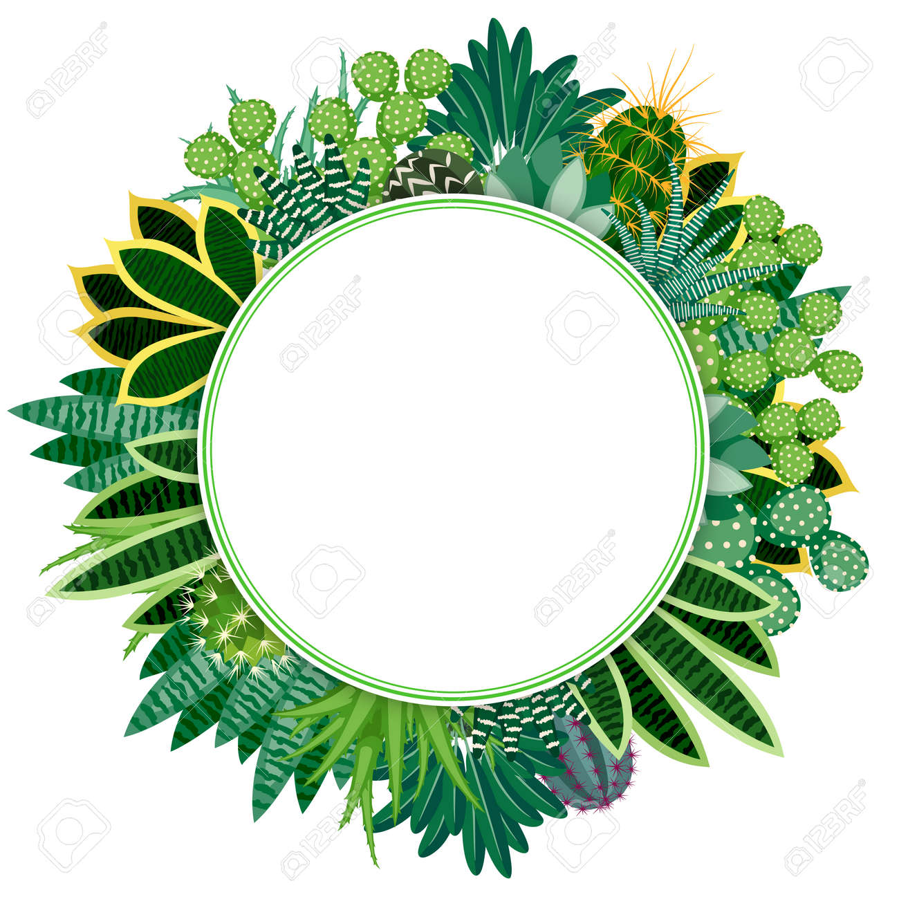 サボテンと多肉植物 白い背景で隔離の屋内植物の自然な背景は 植物のフレームで テキストの丸い背景 ベクトルの図 のイラスト素材 ベクタ Image