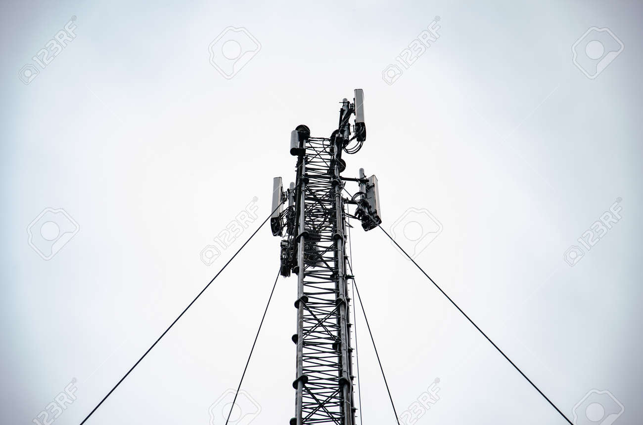 etiam-dictum-ipsum-a-felis