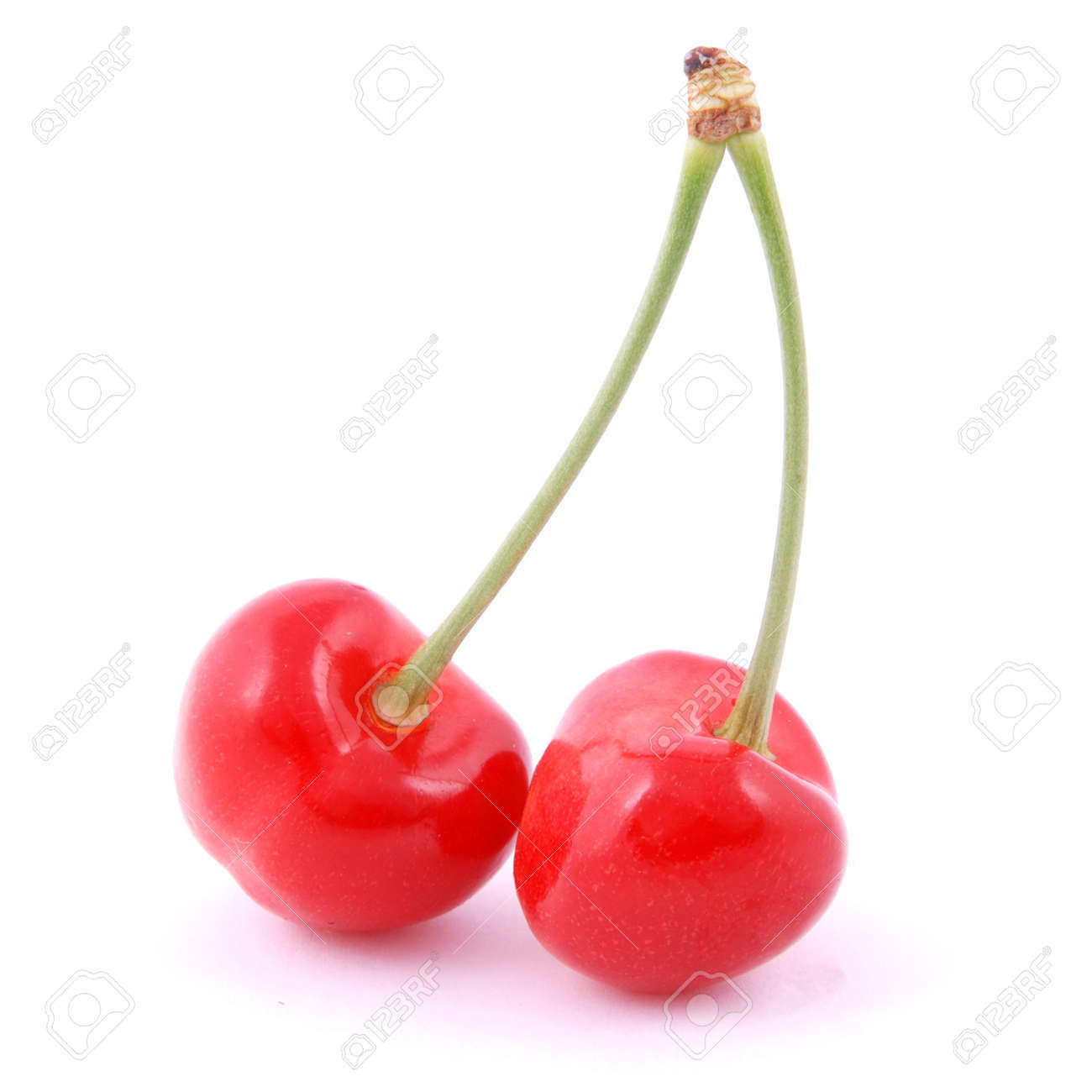 白い背景の上の 2 つの赤いサクランボ の写真素材 画像素材 Image