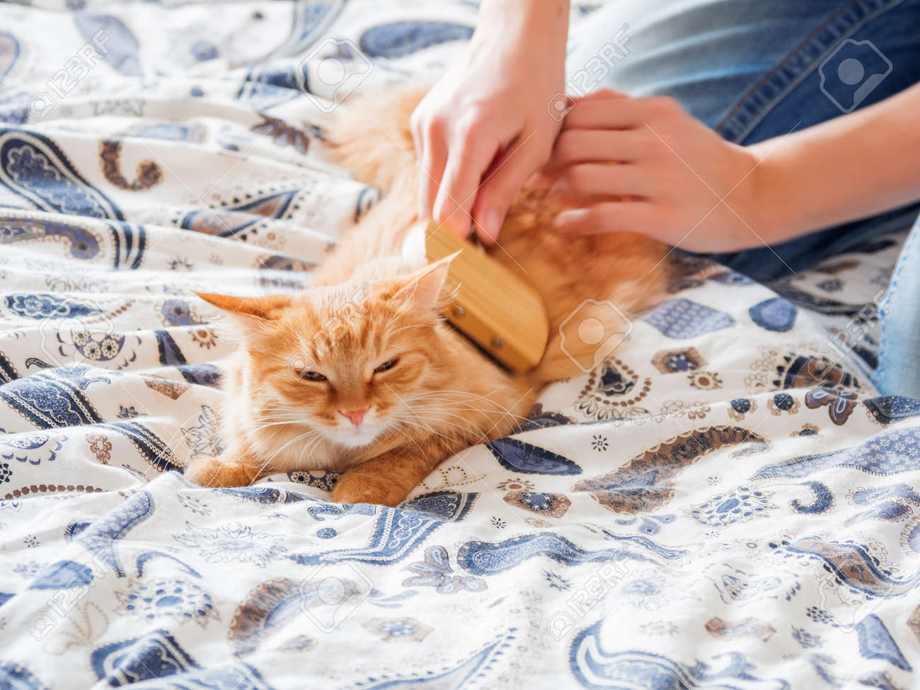 etiam-dictum-ipsum-a-felis