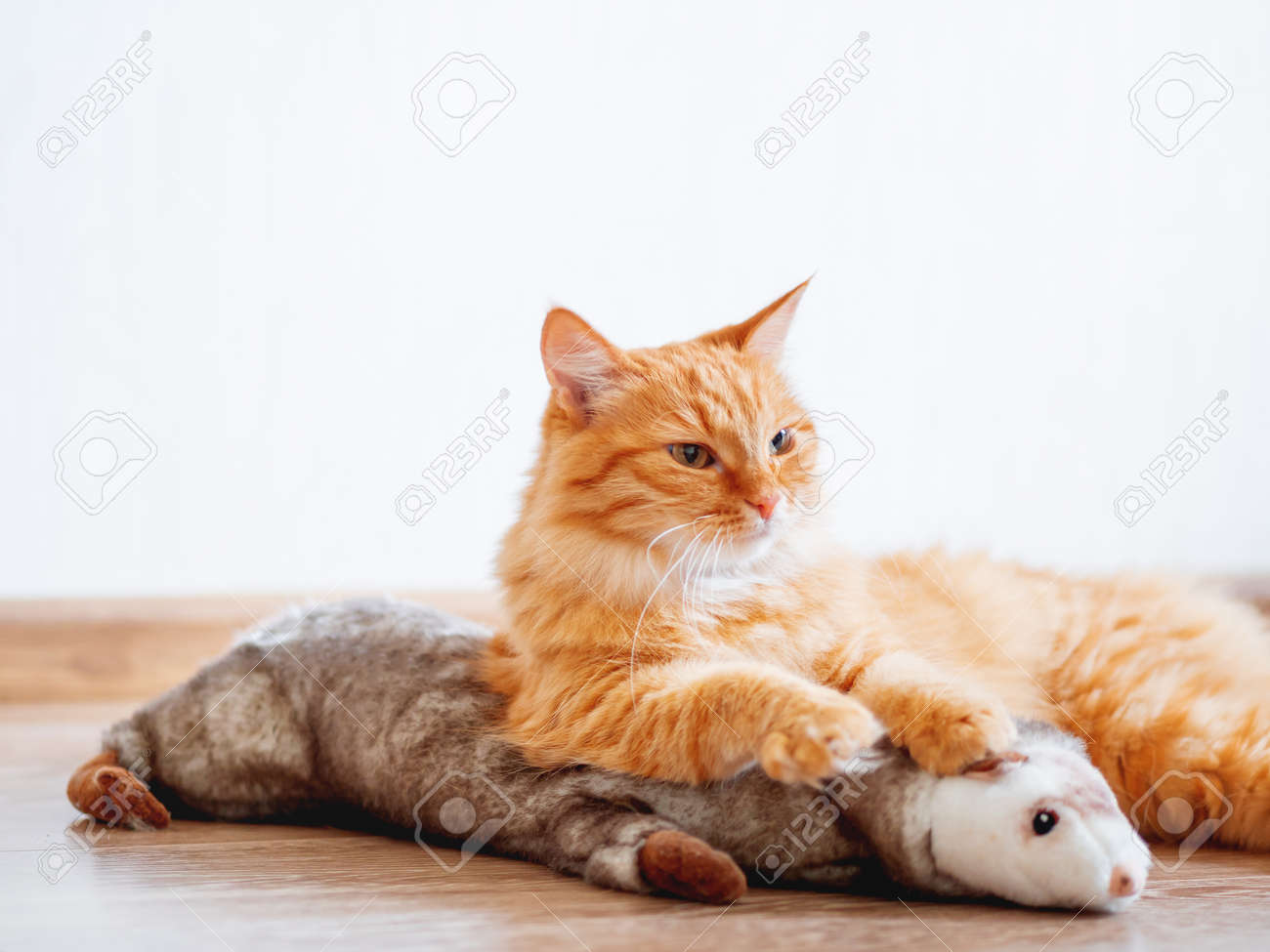 ginger cat plush toy