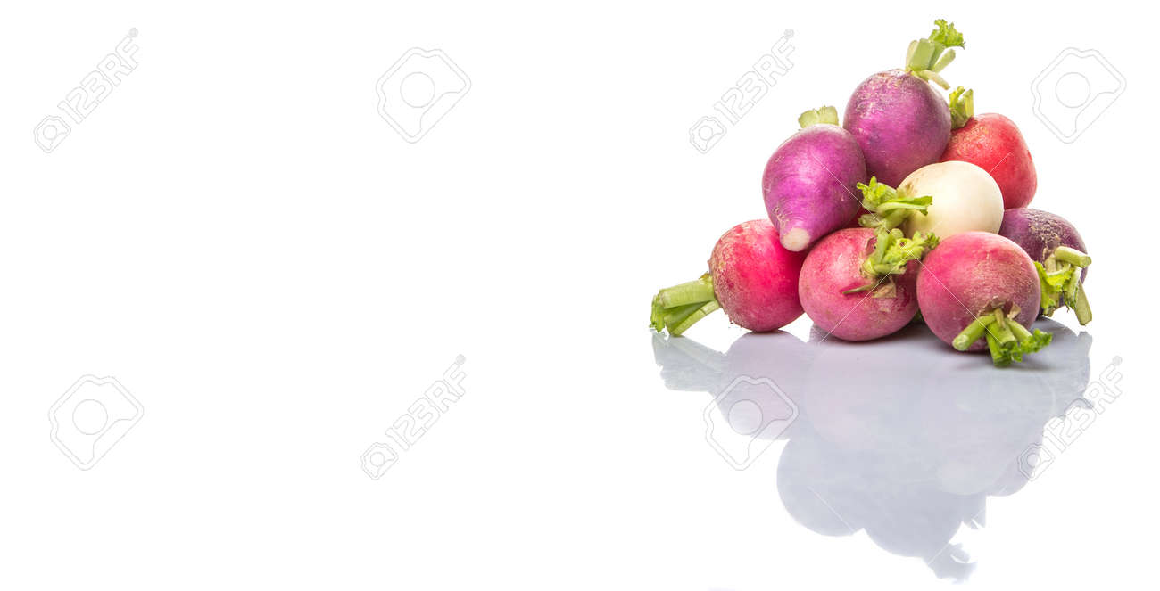白地にピンク 赤 暗い赤 紫色および白い大根野菜 の写真素材 画像素材 Image 白地にピンク 赤 暗い赤 紫色および白い大根野菜 の写真素材 画像素材 Image