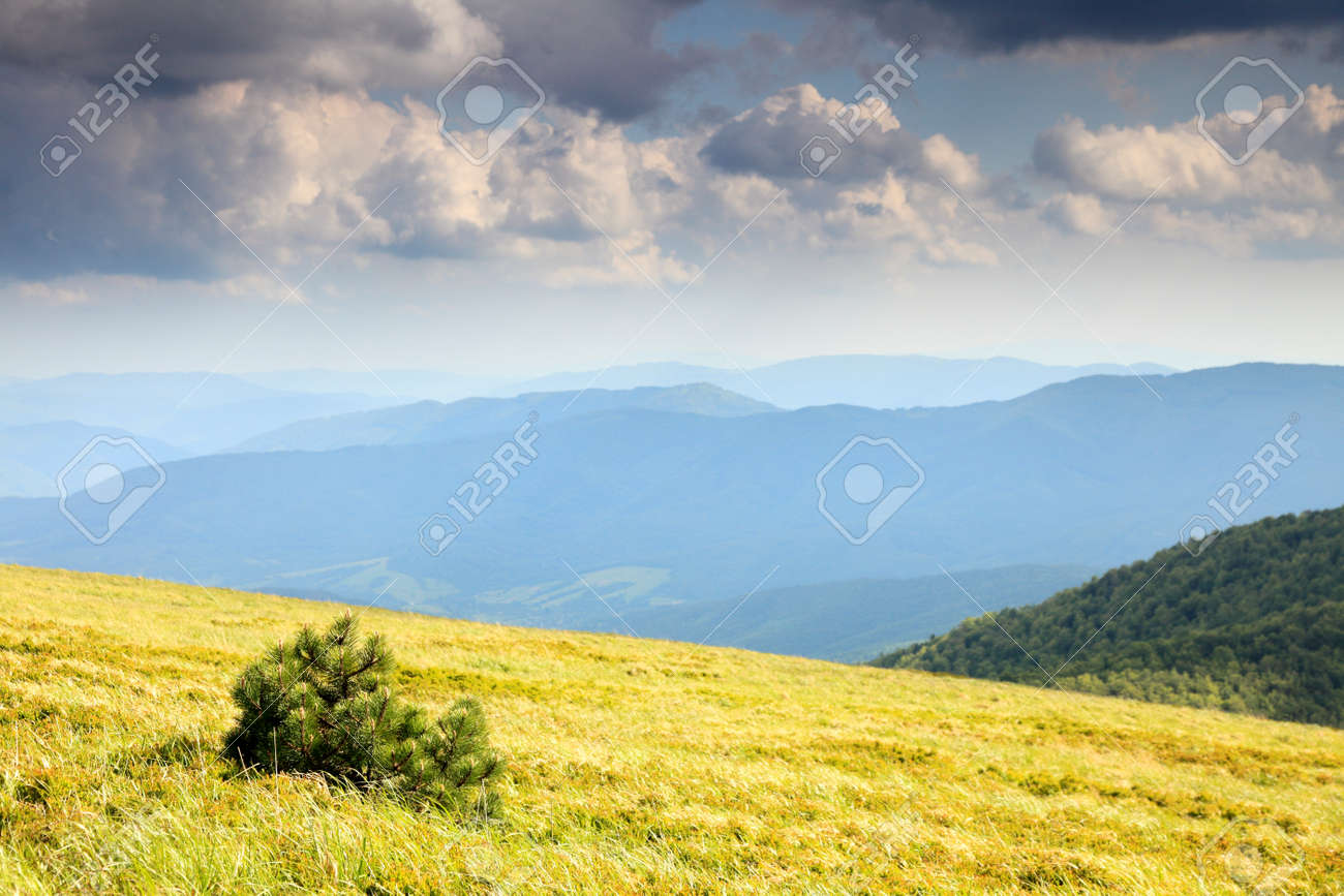 자연과 환경. 들판과 언덕들. 여름에 산 풍경입니다. 여행 및 관광. 로열티 무료 사진, 그림, 이미지 그리고 스톡포토그래피.  Image 28775686
