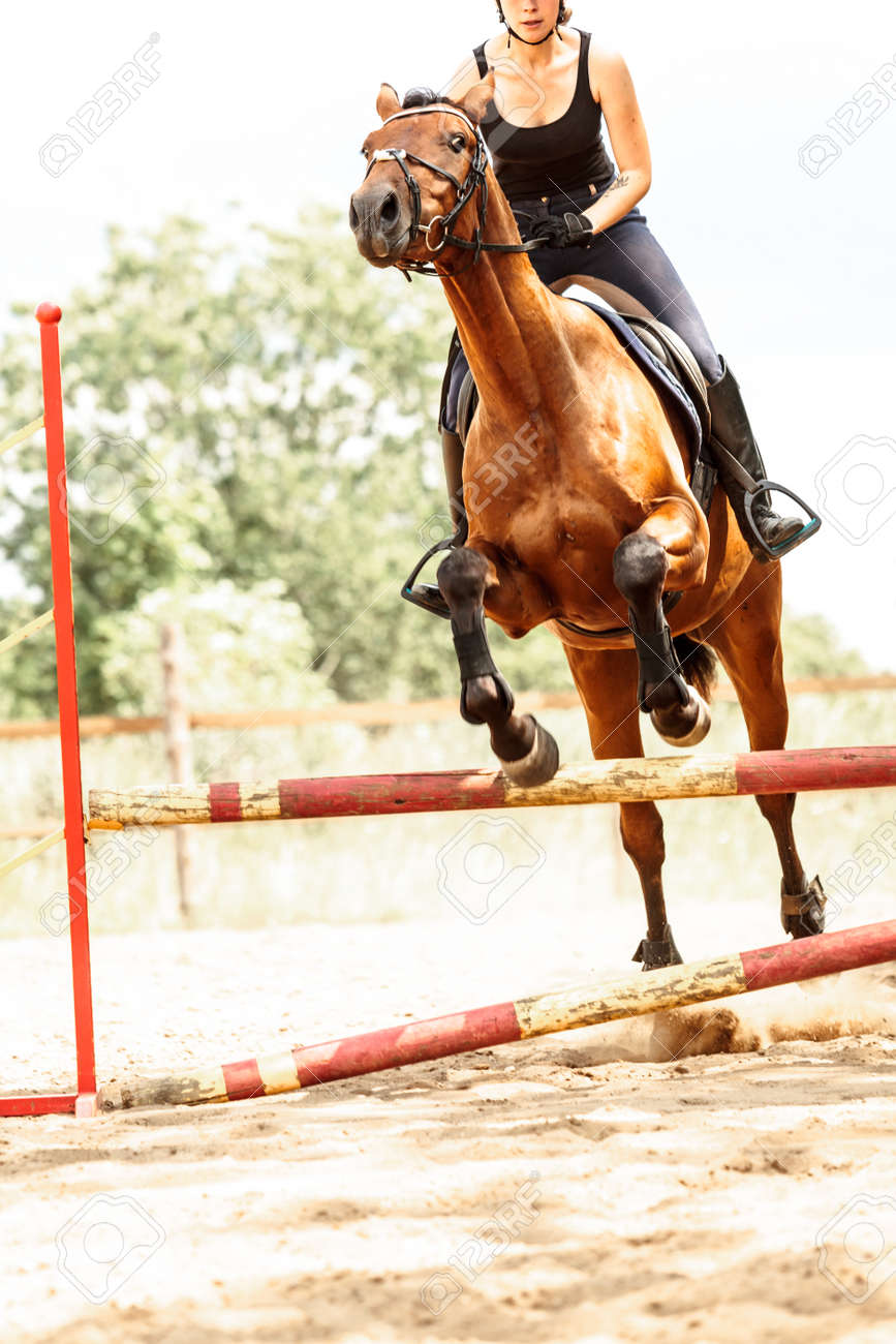 アクティブな女性少女騎手訓練乗用馬柵を飛び越えます 馬術スポーツの競争および活動 の写真素材 画像素材 Image アクティブな女性少女騎手訓練乗用馬柵を飛び越えます 馬術スポーツの競争および活動 の写真素材 画像素材 Image