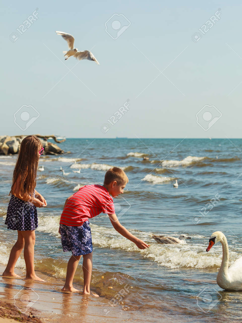 https://previews.123rf.com/images/akz/akz1606/akz160600197/57689369-people-and-animals-lovely-charming-kids-family-playing-having-fun-with-big-white-swan-sea-bird-child.jpg