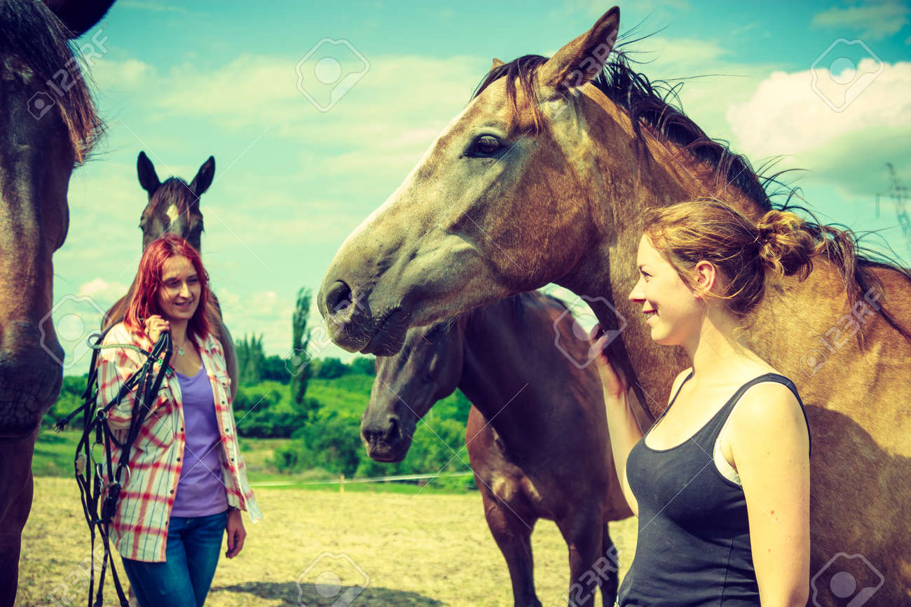 動物と人間の愛 馬のコンセプト 草原に馬とリラックスした二人の女性 の写真素材 画像素材 Image 動物と人間の愛 馬のコンセプト 草原に馬とリラックスした二人の女性 の写真素材 画像素材 Image