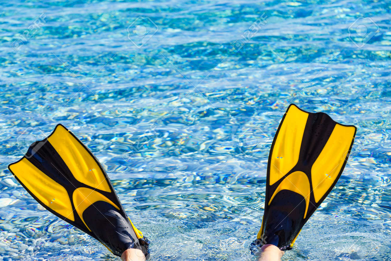 Sea swimming equipment best sale