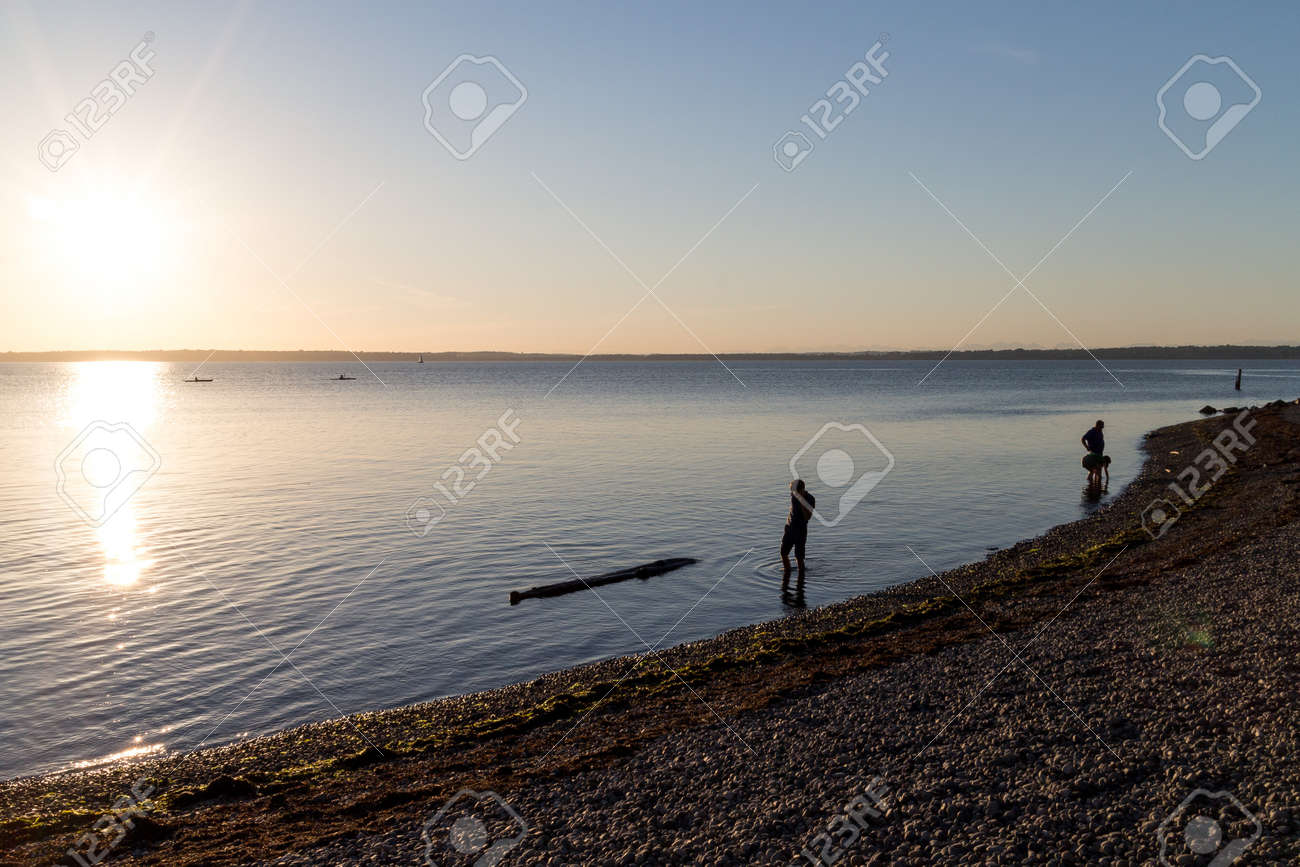 Bellingham