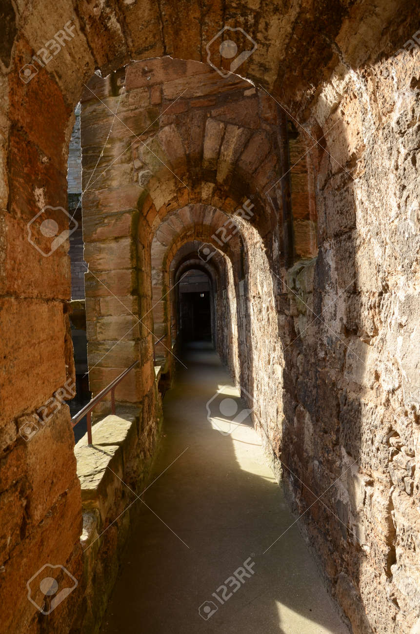 etiam-dictum-ipsum-a-felis