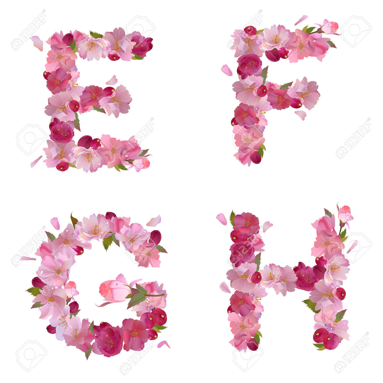 Spring Alphabet With Gentle Pink Sakura Flowers Letters E F G H Spring Alphabet With Gentle Pink Sakura Flowers Letters E F G H