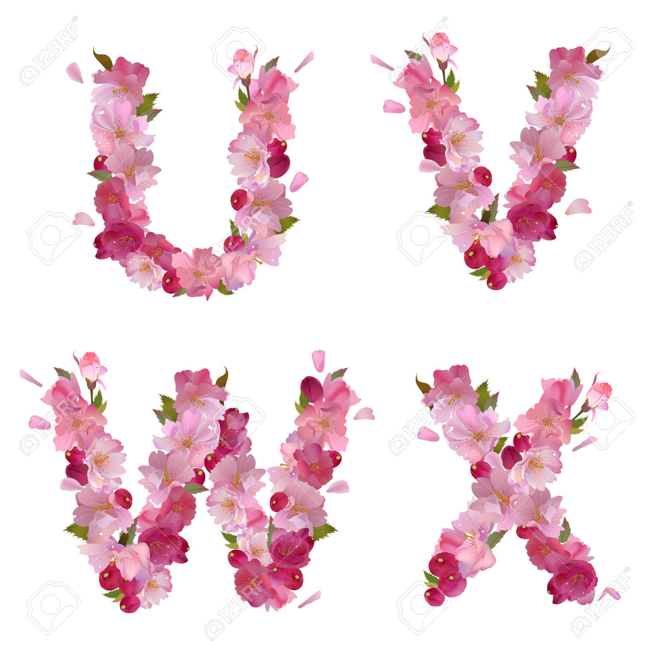 Spring Alphabet With Gentle Pink Sakura Flowers Letters U V W X Spring Alphabet With Gentle Pink Sakura Flowers Letters U V W X