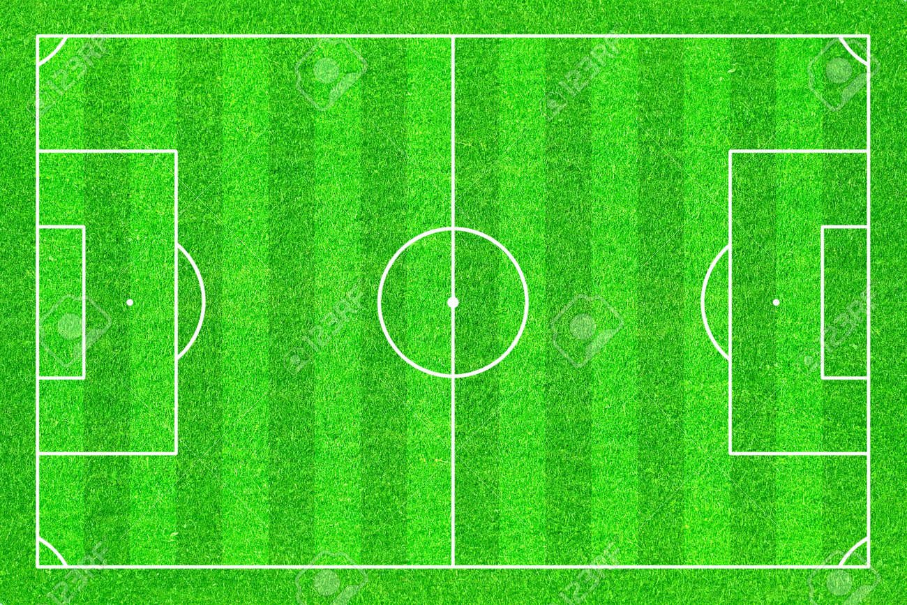 Soccer / Football field with white lines on green grass - 19869895 Soccer / Football field with white lines on green grass - 19869895