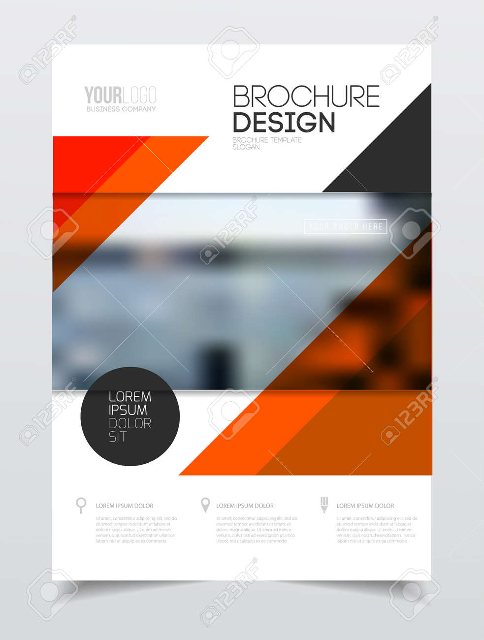catalogue cover design annual report vector illustration template