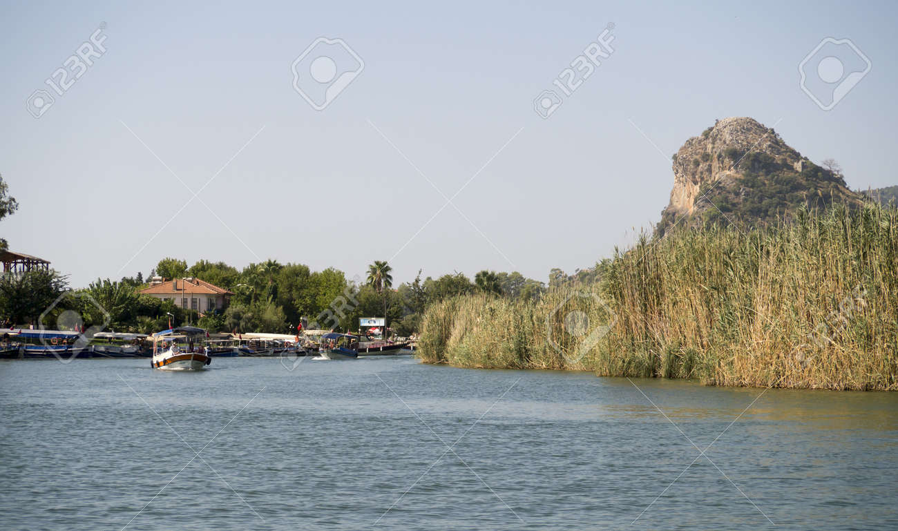 etiam-dictum-ipsum-a-felis