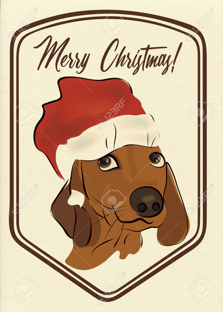 merry christmas dachshund