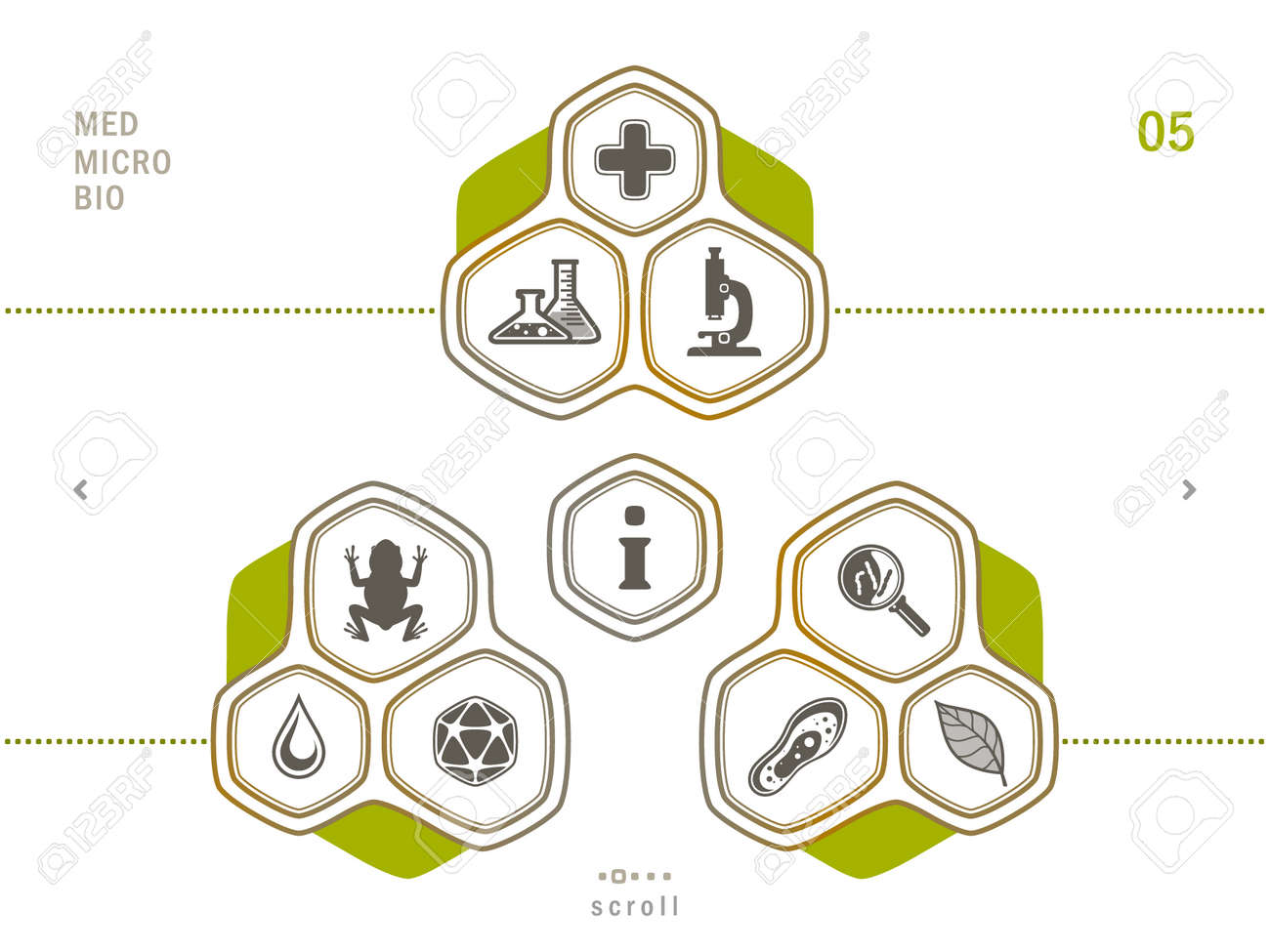 laboratory tools icons set scientific and medical lab appliance contour symbol stock vector