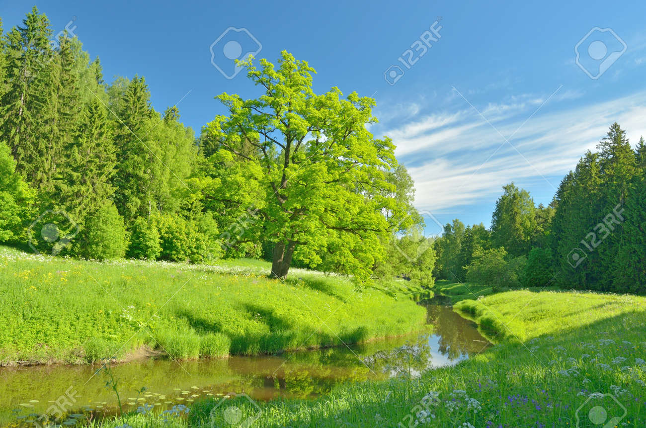 緑」のアイデア 25 件 | 美しい風景, 美しい景色, 綺麗な景色