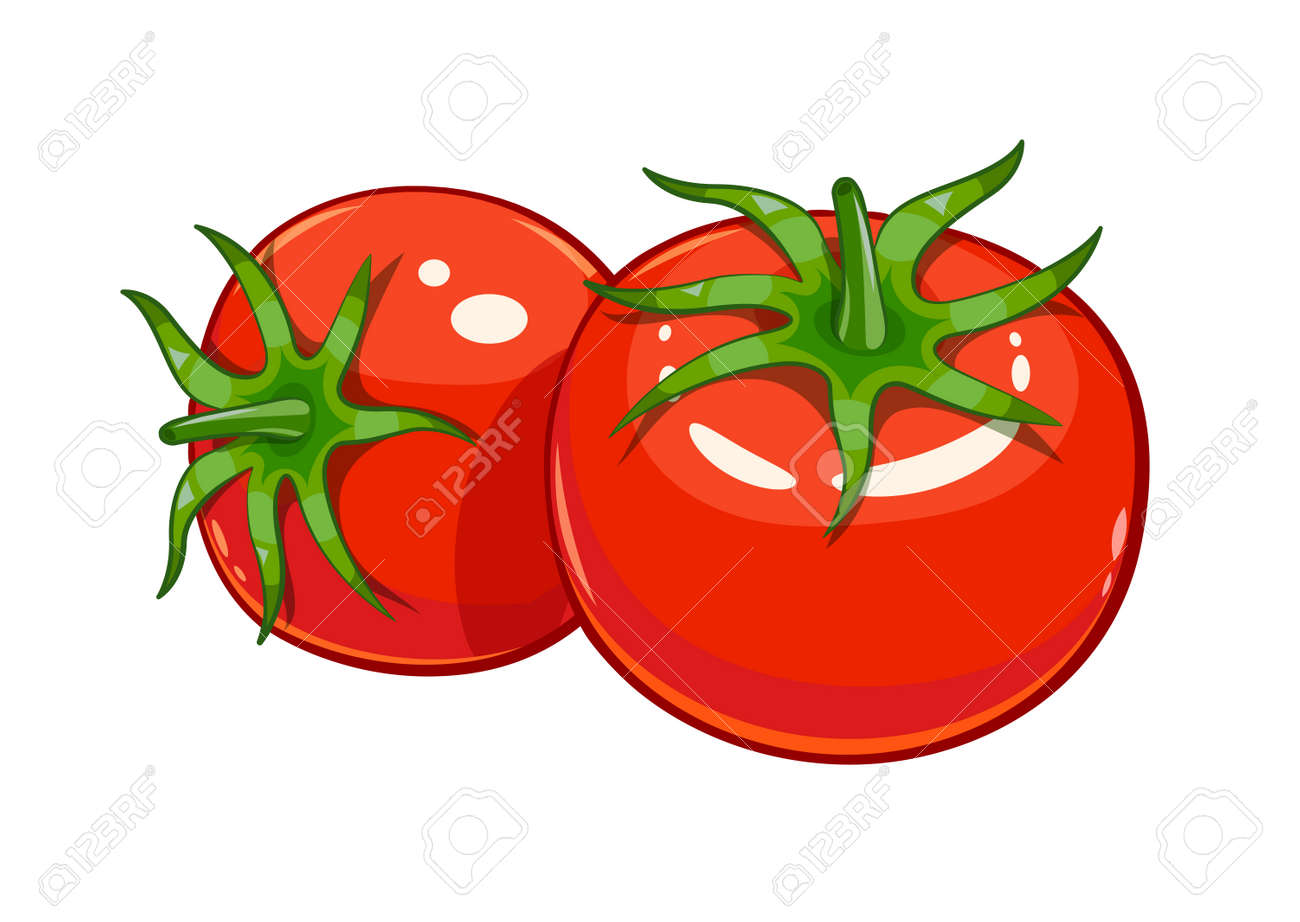 Pair red ripe tomato vector illustration, Eps10 Isolated white background - 53440192 Pair red ripe tomato vector illustration, Eps10 Isolated white background - 53440192