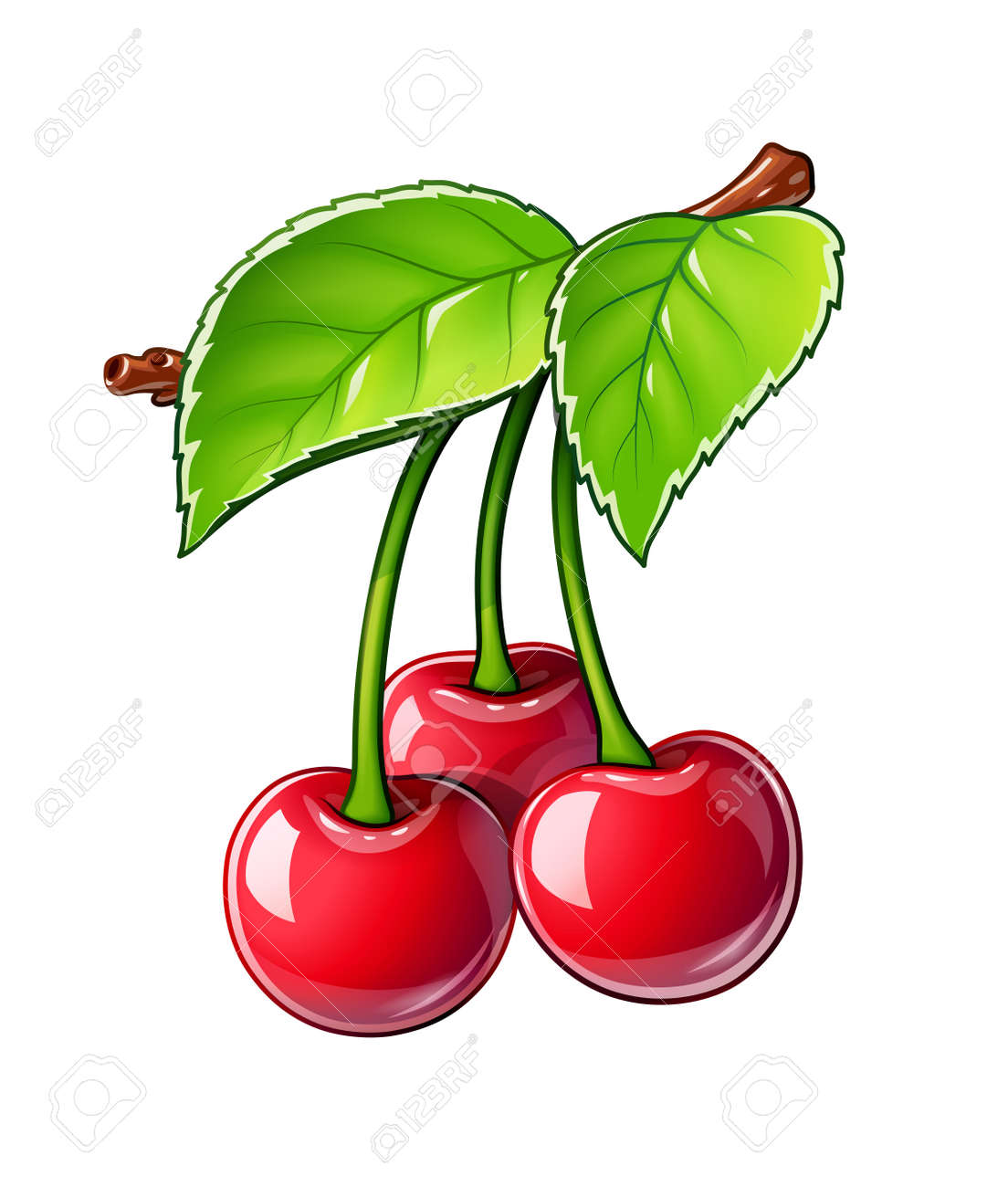 Cherry. Ripe juicy berry. Red fruit with leaf, Isolated on white background. - 168582645 Cherry. Ripe juicy berry. Red fruit with leaf, Isolated on white background. - 168582645