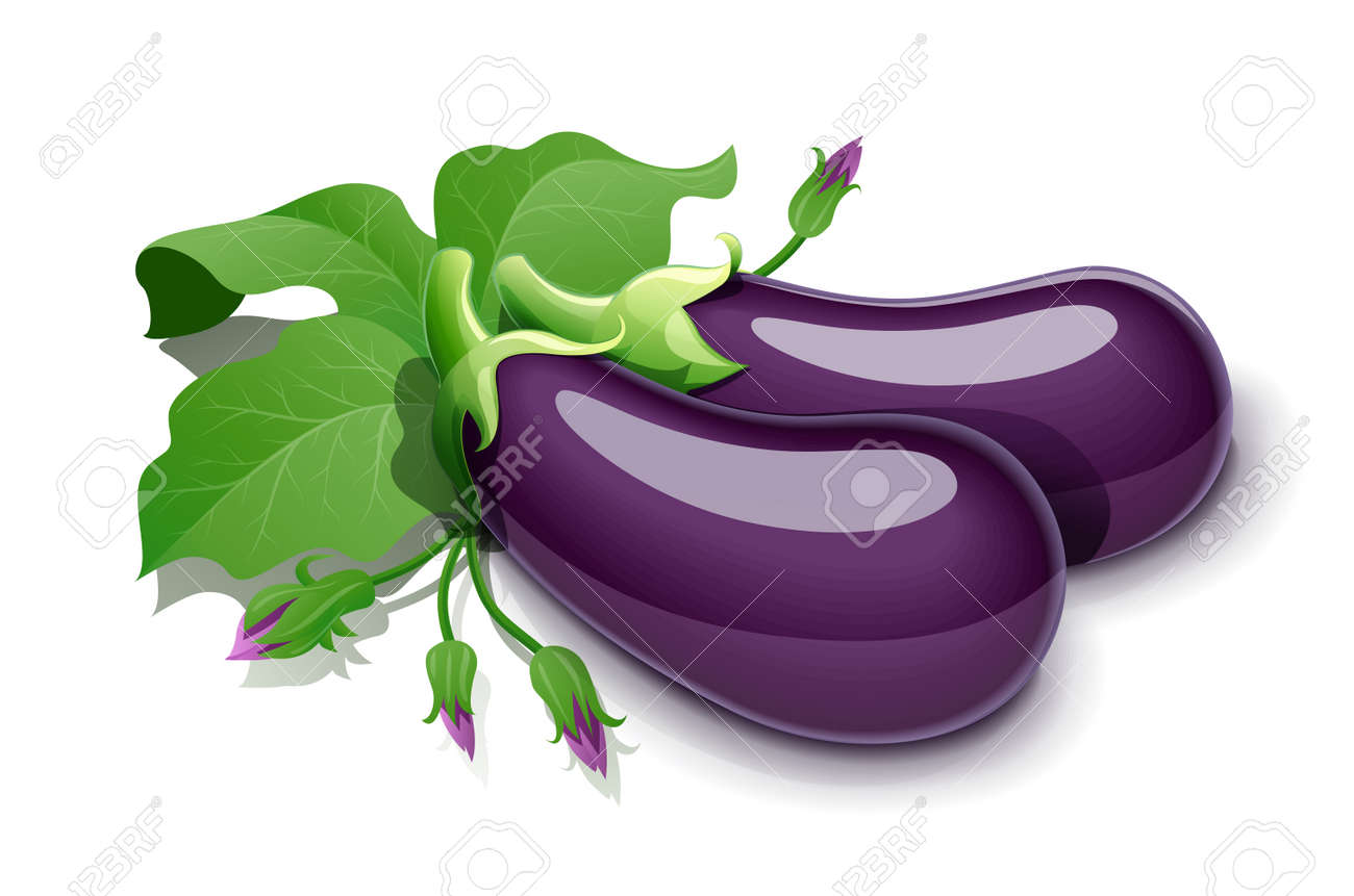 Eggplant. Vegetable food, Isolated on white background. Eps10 vector illustration. - 170190406 Eggplant. Vegetable food, Isolated on white background. Eps10 vector illustration. - 170190406