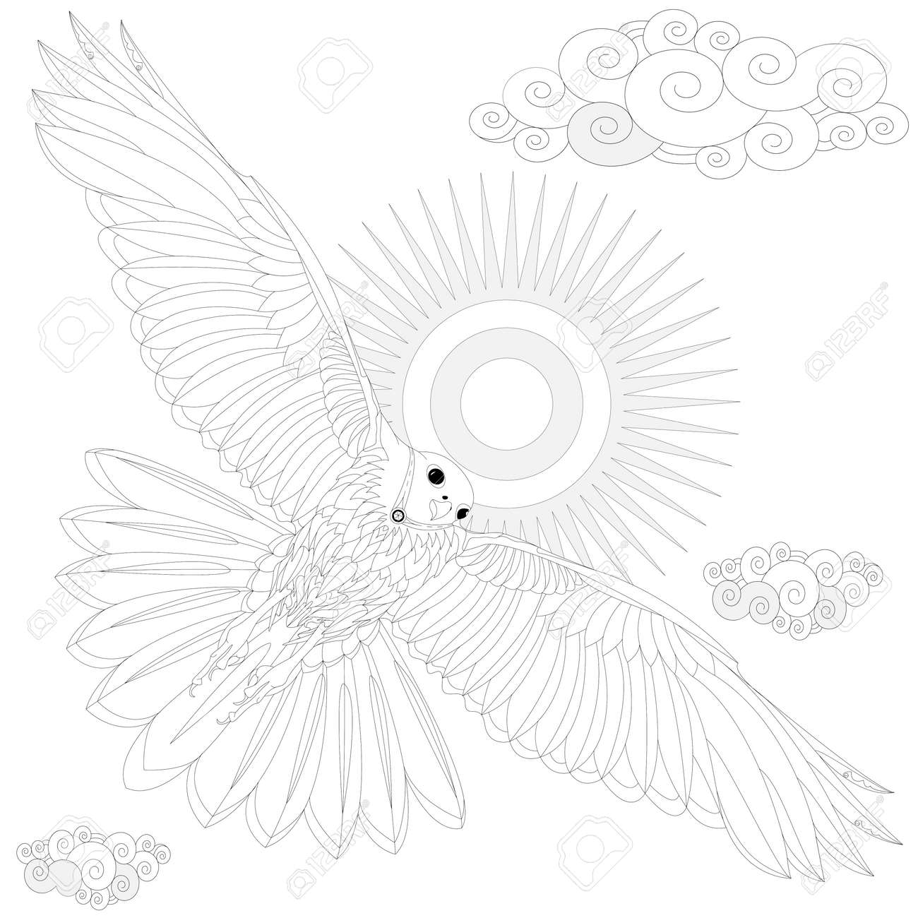ワシの鳥大人ベクトル イラストの塗り絵 大人のための着色抗ストレス のイラスト素材 ベクタ Image ワシの鳥大人ベクトル イラストの塗り絵 大人のための着色抗ストレス のイラスト素材 ベクタ Image