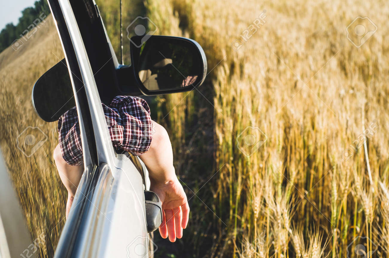 The woman in sport utility vehicle looks out of the window - 84807343 The woman in sport utility vehicle looks out of the window - 84807343