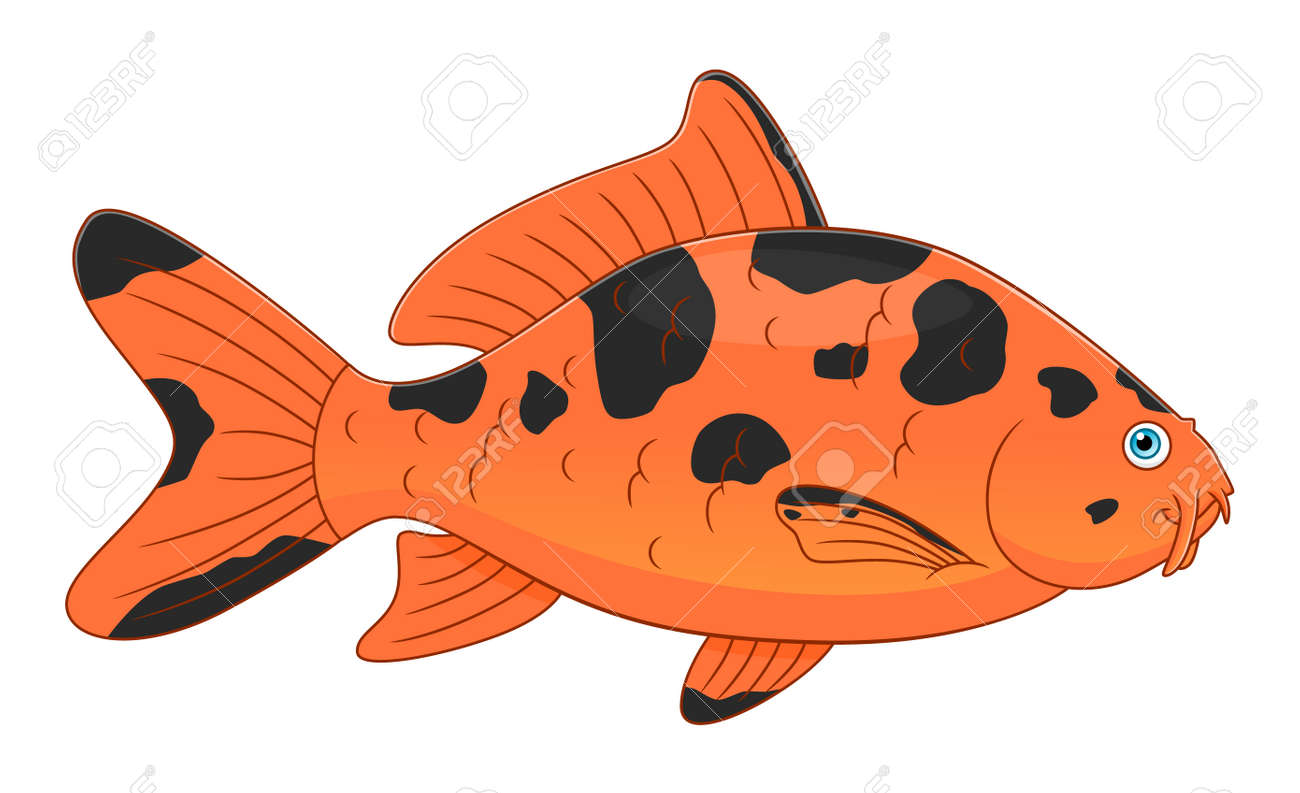 漫画かわいい鯉 のイラスト素材 ベクタ Image 漫画かわいい鯉 のイラスト素材 ベクタ Image