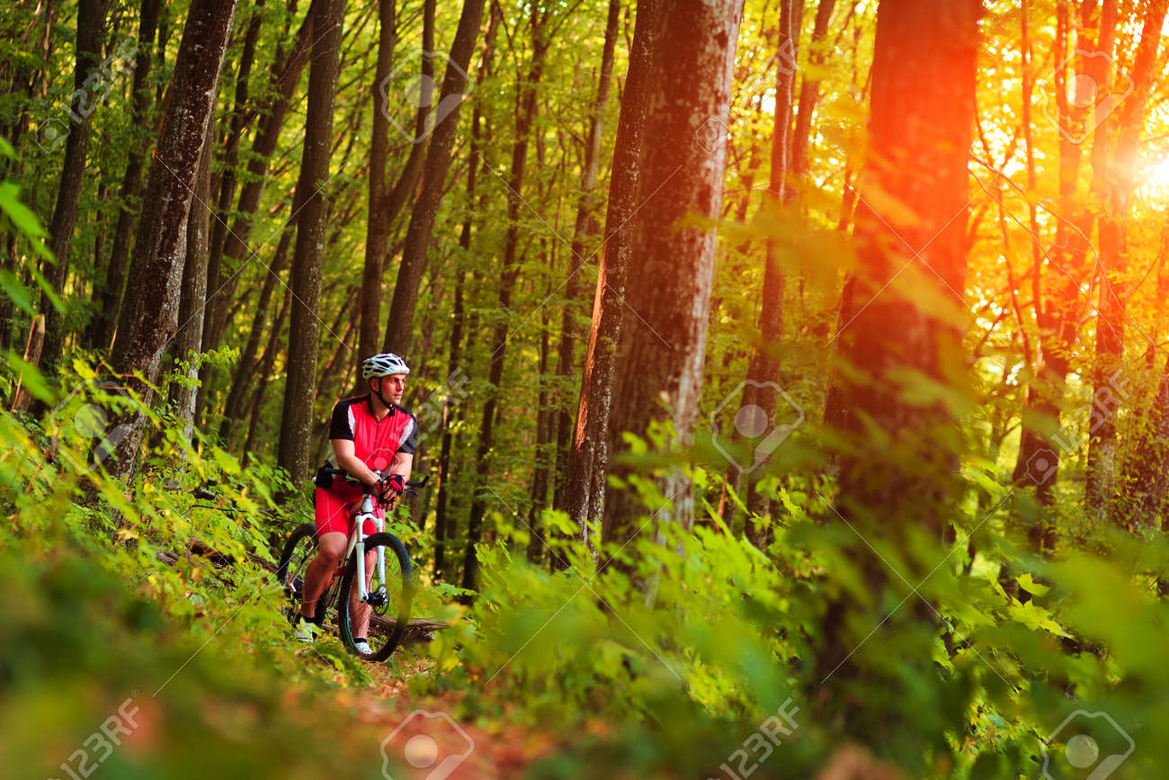 freestyle mountain biking