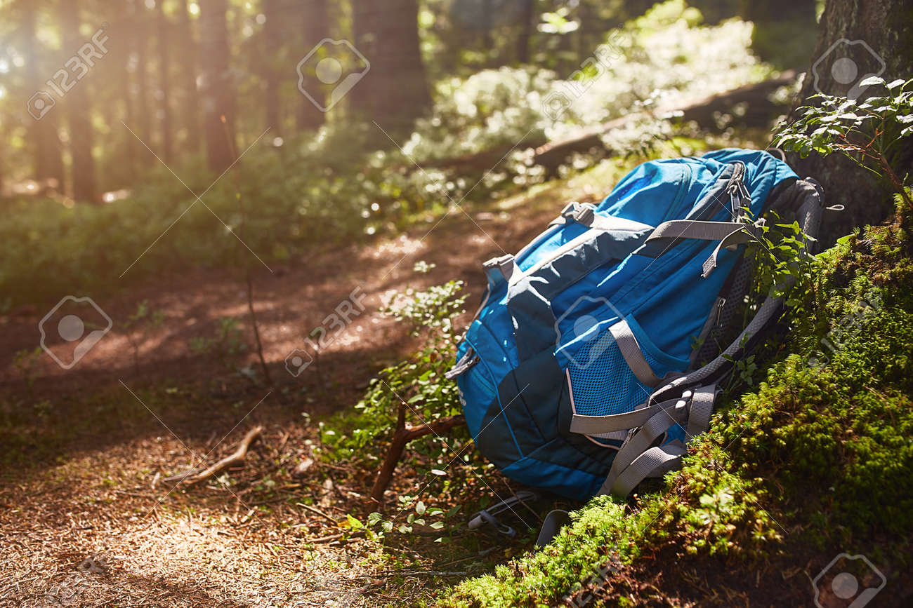 The Forest Rock Bag