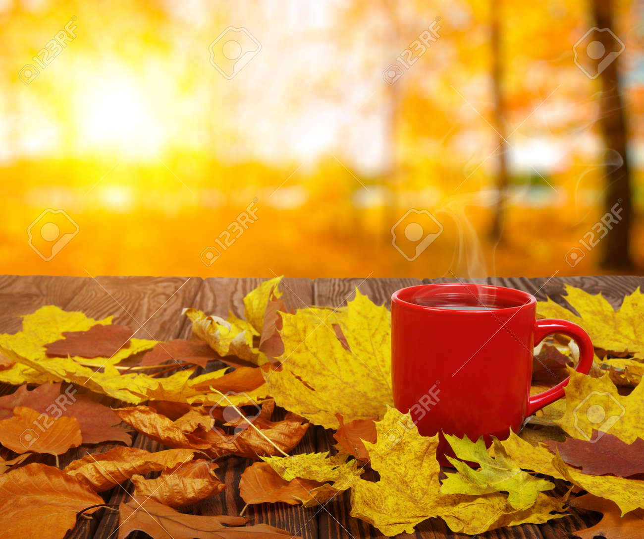 Immagini Stock Foglie Di Autunno E Tazza Di Caffe Calda A Vapore Tabella Di Legno Sulla Priorita Bassa Chiara Di Sole Concetto Di Tempo Di Caduta Image