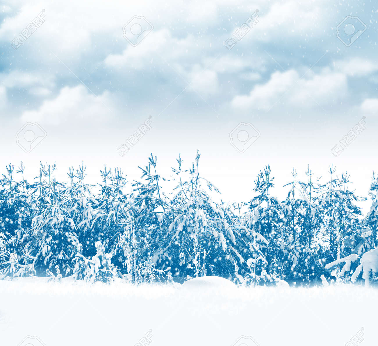 Frozen winter forest with snow covered trees. outdoor - 158519936 Frozen winter forest with snow covered trees. outdoor - 158519936