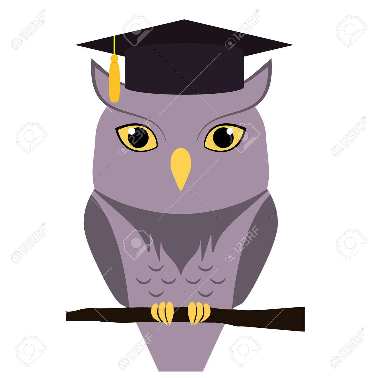 cute owl with graduation hat on head isolated on white vector