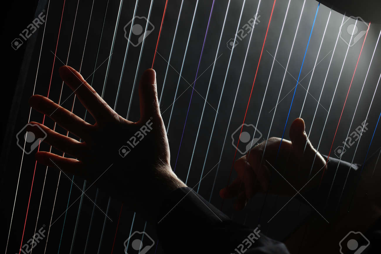 etiam-dictum-ipsum-a-felis