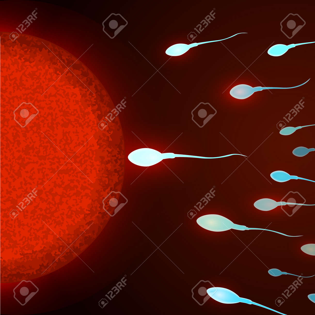 受精 精子細胞でヒトの卵細胞の受精 精子と卵細胞の顕微鏡ビューのイラスト素材 ベクタ Image