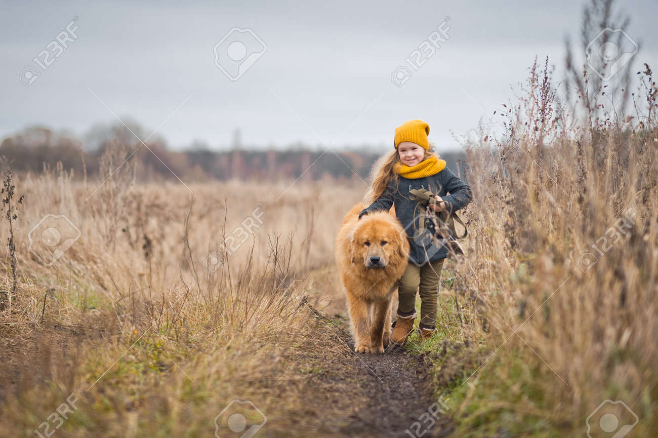 The girl walking with the loyal good dog two times... - 95253143 The girl walking with the loyal good dog two times... - 95253143