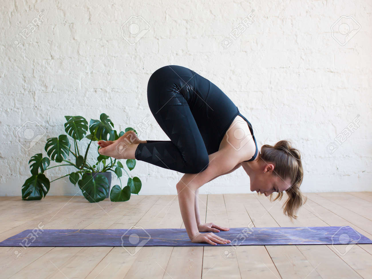crane yoga pants