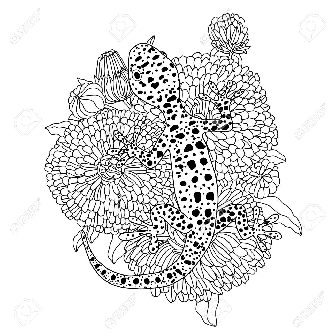vector lizard realistic and detailed illustration for a coloring