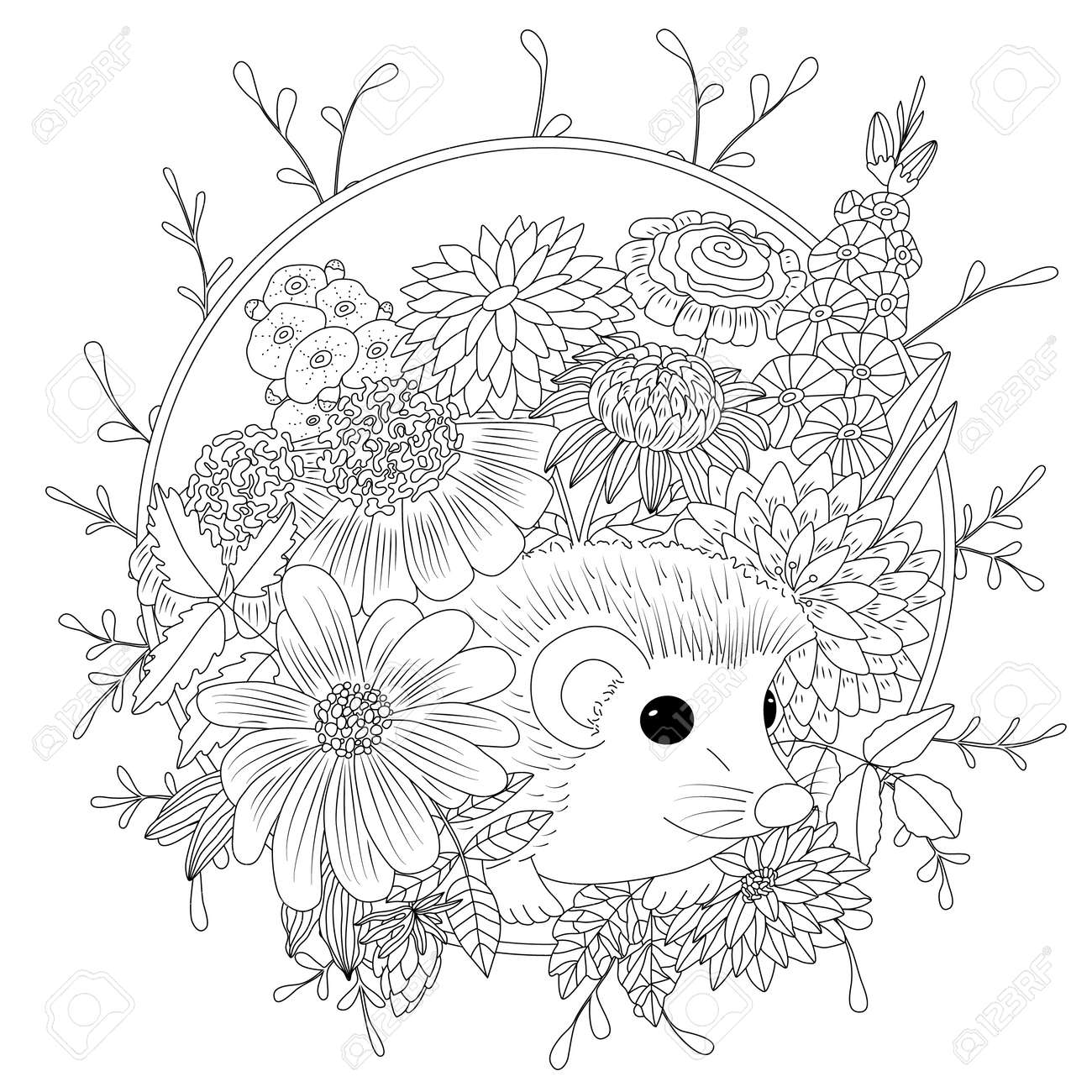花のベクトル図ハリネズミ アンチ ストレス大人のための塗り絵 黒と白 のイラスト素材 ベクタ Image 82692676