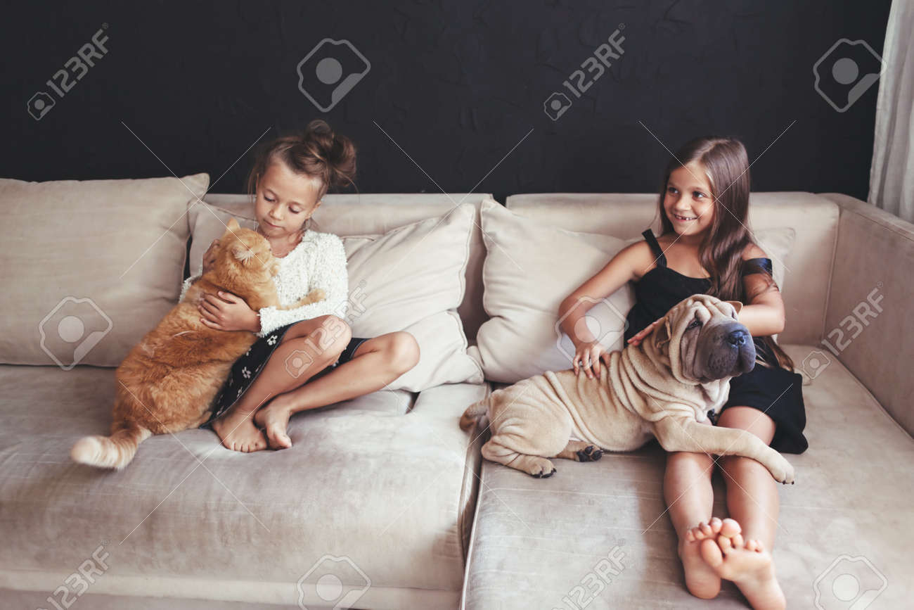 shar pei with children