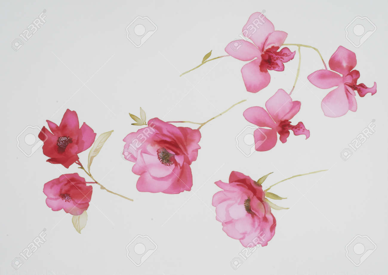 水彩画の花のカラー イラスト の写真素材 画像素材 Image