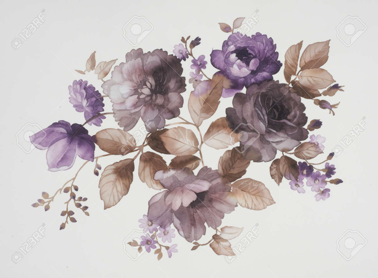 水彩画の花のカラー イラスト の写真素材 画像素材 Image