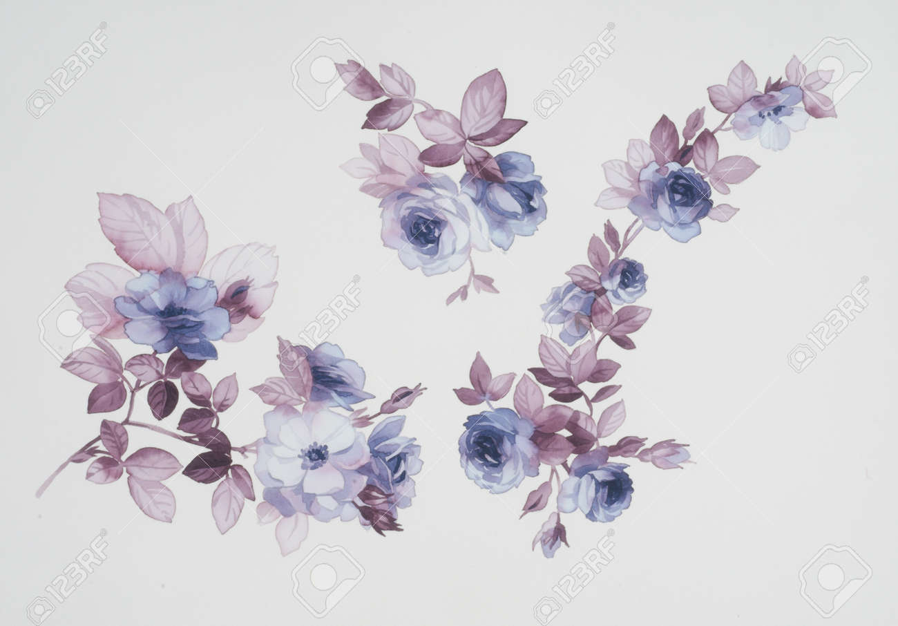 水彩画の花のカラー イラスト の写真素材 画像素材 Image 12566800