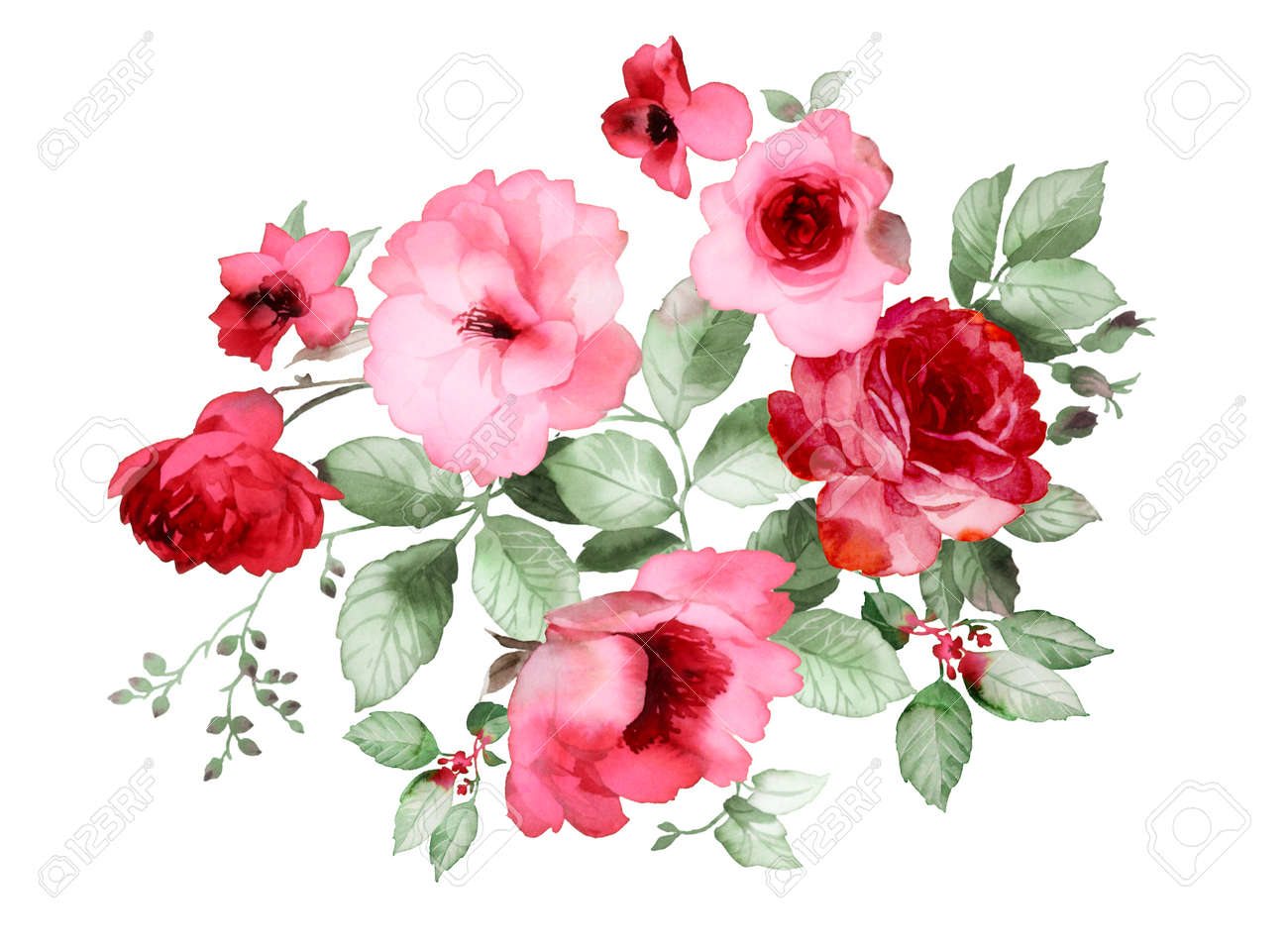 水彩画の花のカラー イラスト の写真素材 画像素材 Image