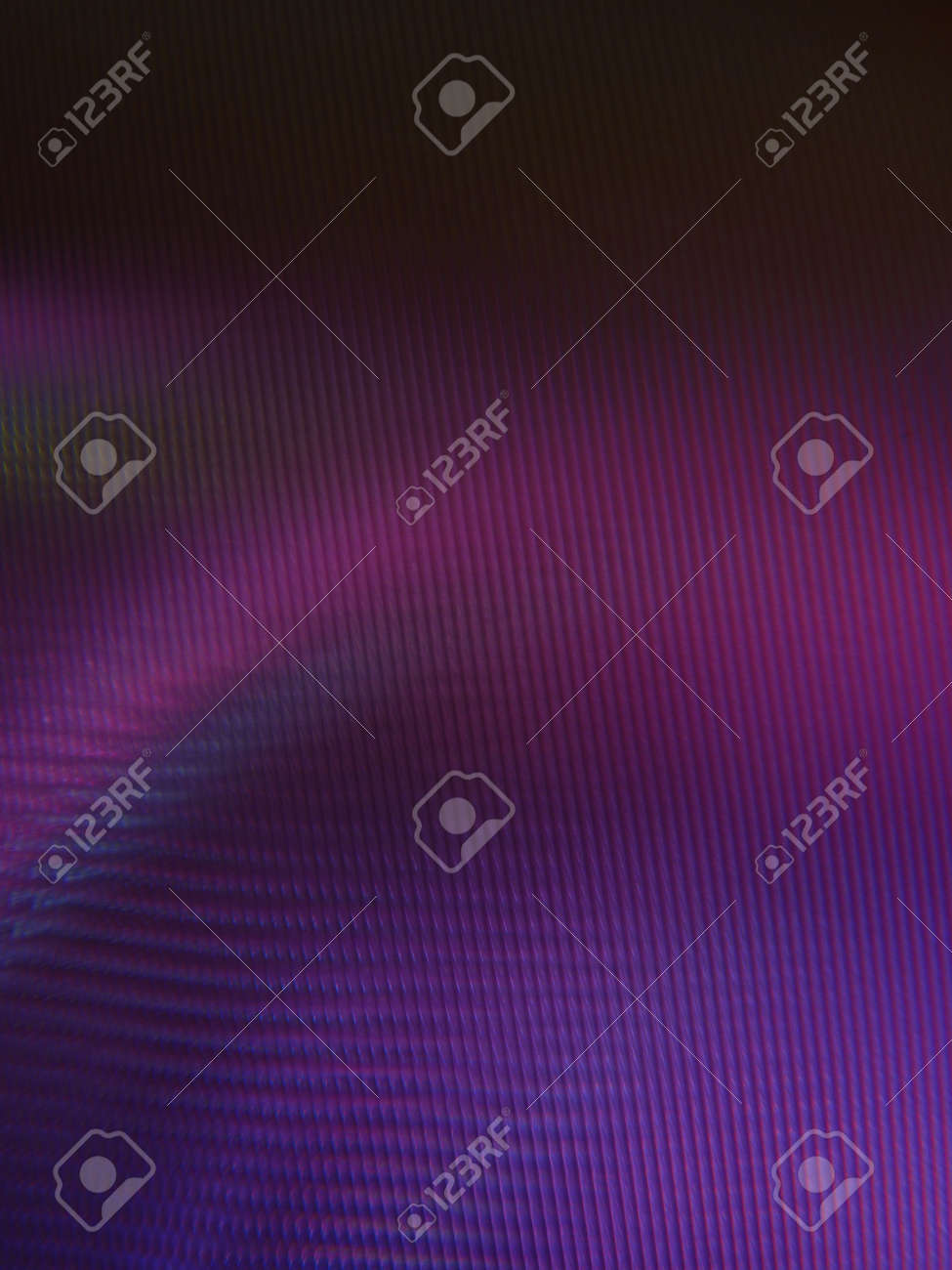 etiam-dictum-ipsum-a-felis