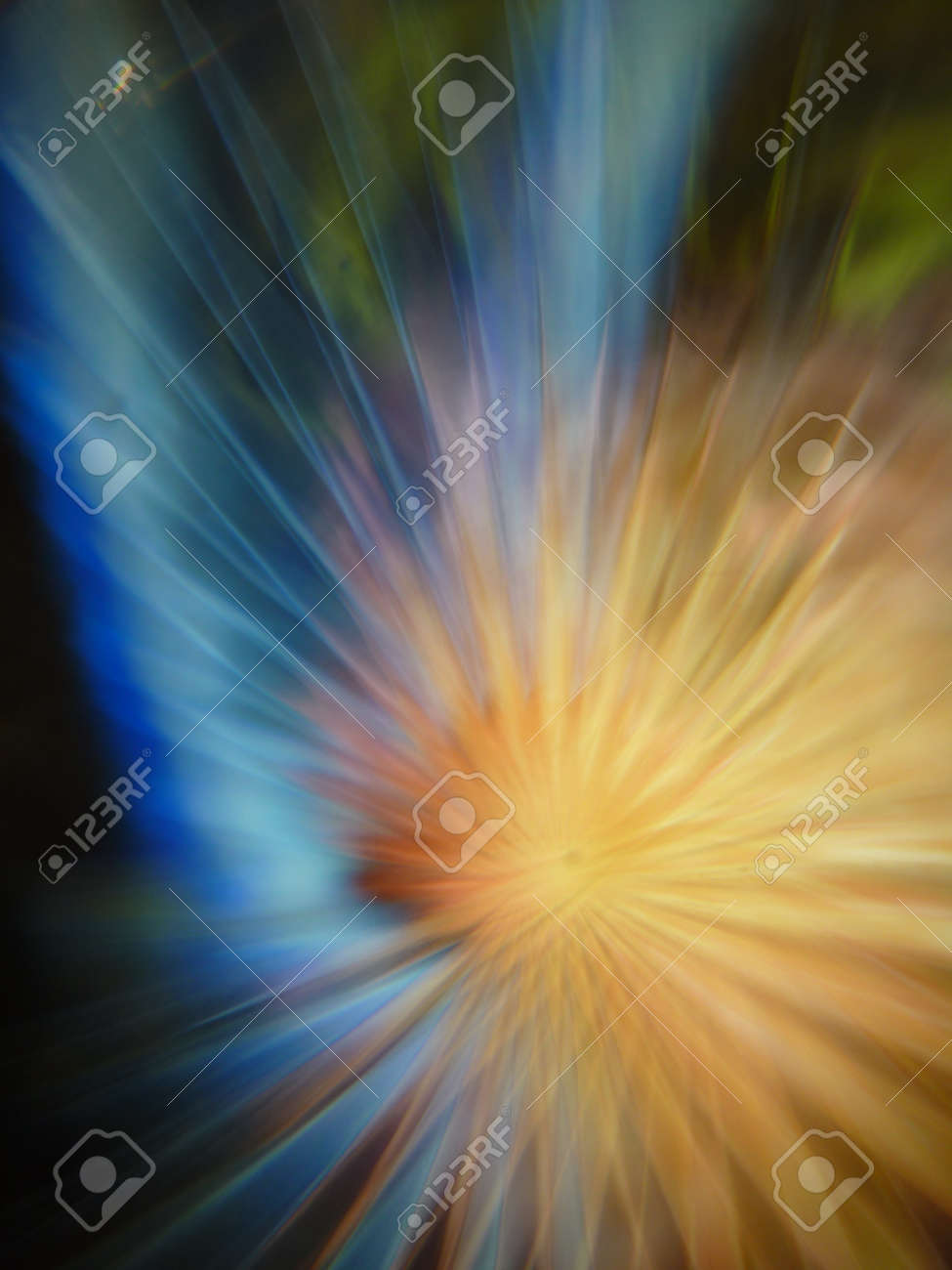 etiam-dictum-ipsum-a-felis